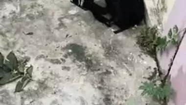 XXX voyeur finds Desi lovers fucking in the fresh air in MMS video