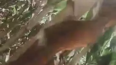 Dehati Chitkul village lady outdoor nangi video