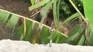 Desi XXX mms video, Horny Mallu couple was caught fucking outdoor in bushes