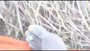 Horny Desi south indian village cheating fucked husband friend jungle by in outdoor fucking sound clear audio slow motion